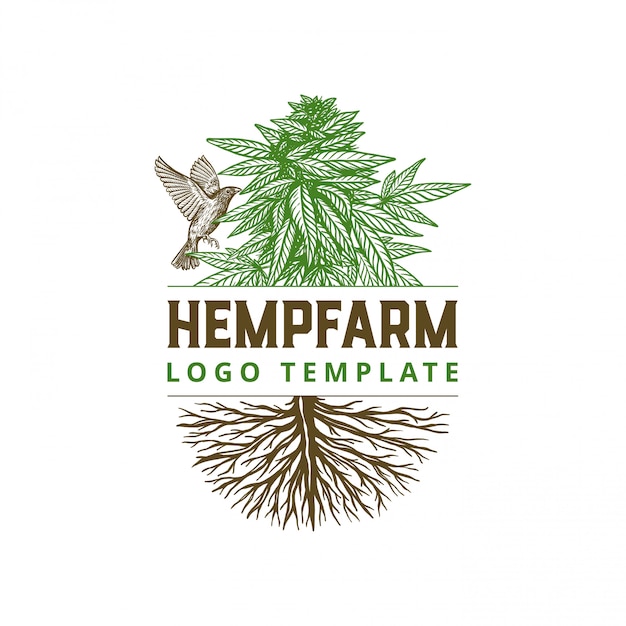 Hand drawn hemp farm with bird logo template