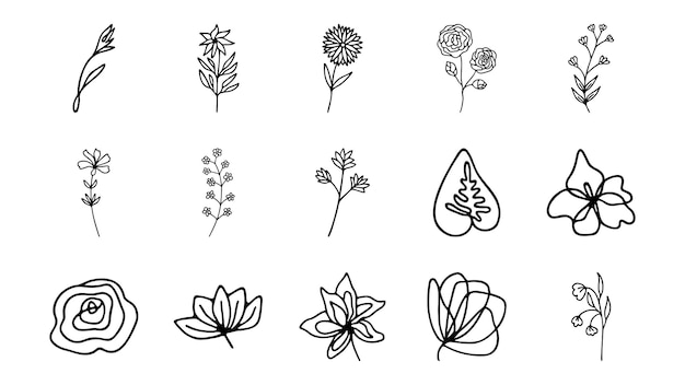 Hand drawn herbal floral clipart collection One line doodle vector set