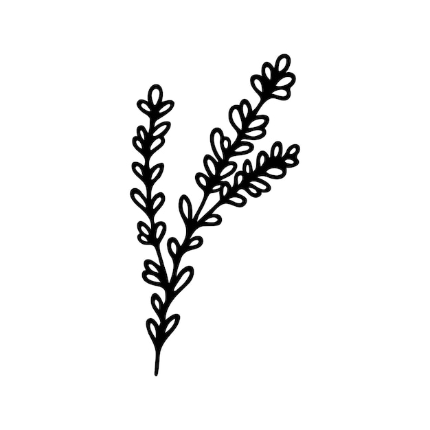 Hand drawn herbal floral clipart One line doodle vector