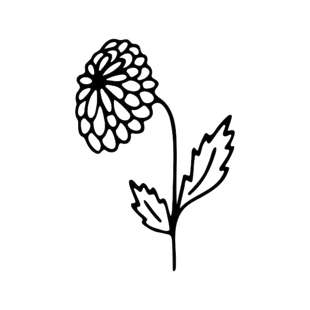 Hand drawn herbal floral clipart one line doodle vector