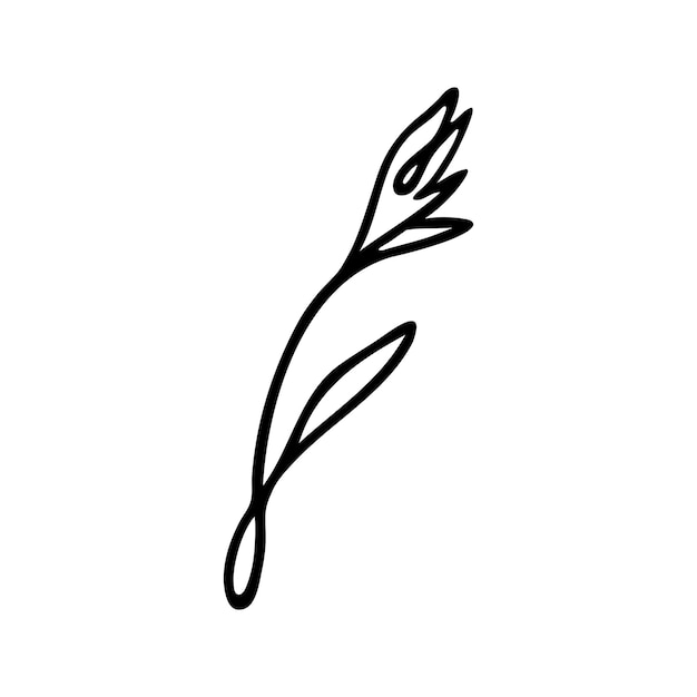 Hand drawn herbal floral clipart One line doodle vector