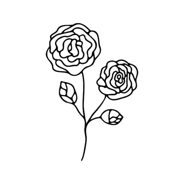 Hand drawn herbal floral clipart One line doodle vector