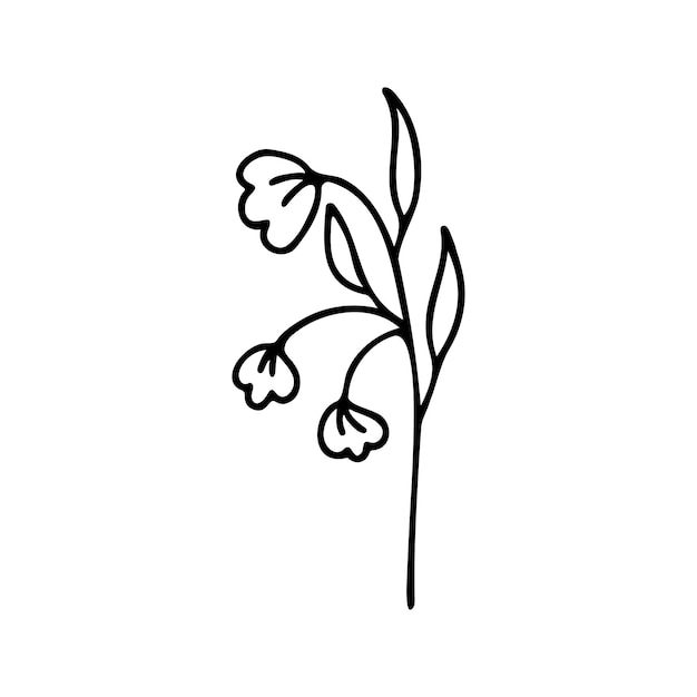 Hand drawn herbal floral clipart one line doodle vector