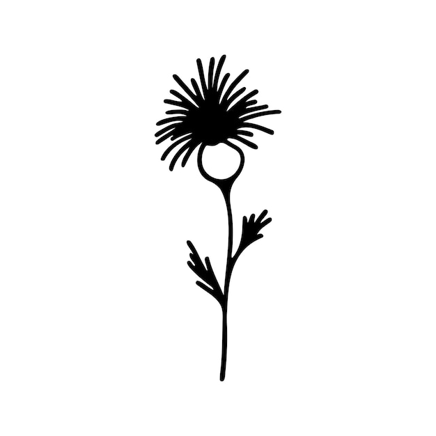 Hand drawn herbal floral clipart one line doodle vector