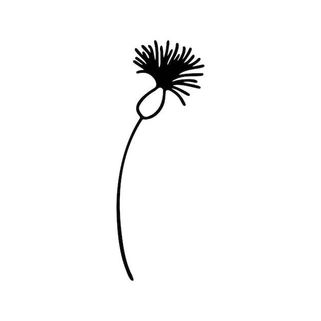 Hand drawn herbal floral clipart One line doodle vector