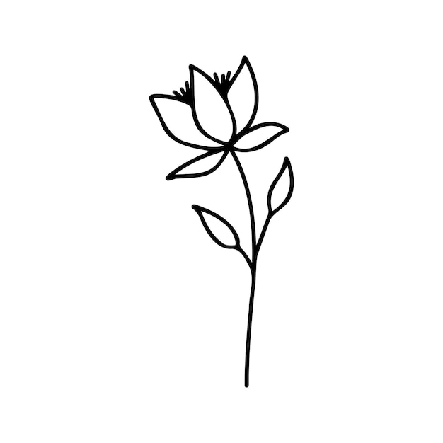 Hand drawn herbal floral clipart One line doodle vector