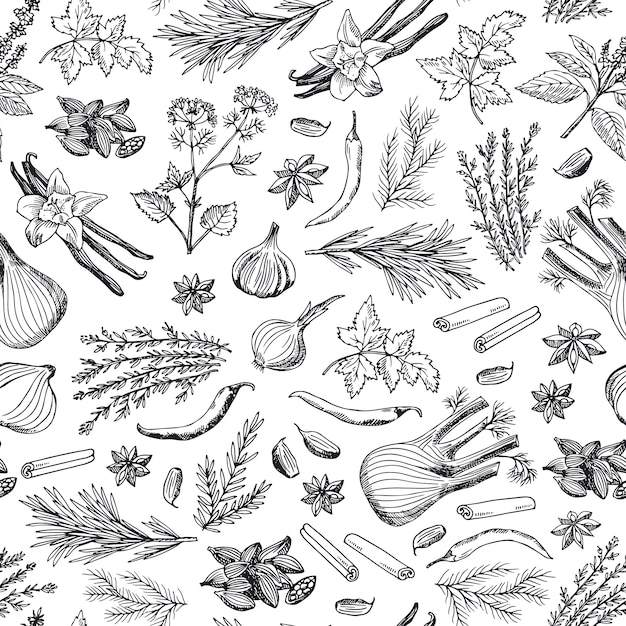 hand drawn herbs and spices background or pattern 