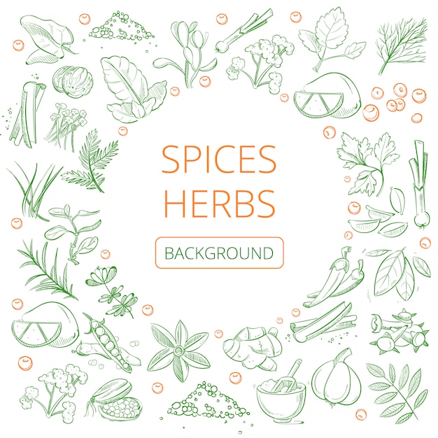 Hand drawn herbs and spices background 