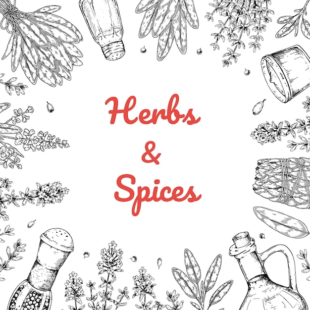 Hand drawn herbs and spices design