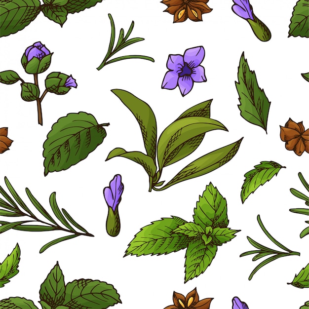 Hand drawn herbs and spices seamless pattern