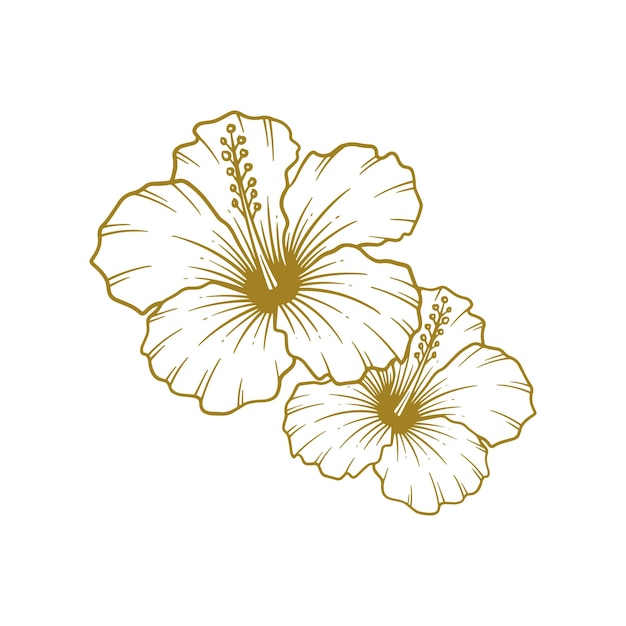 Hand drawn hibiscus flower Hibiscus flower line art vector illustration