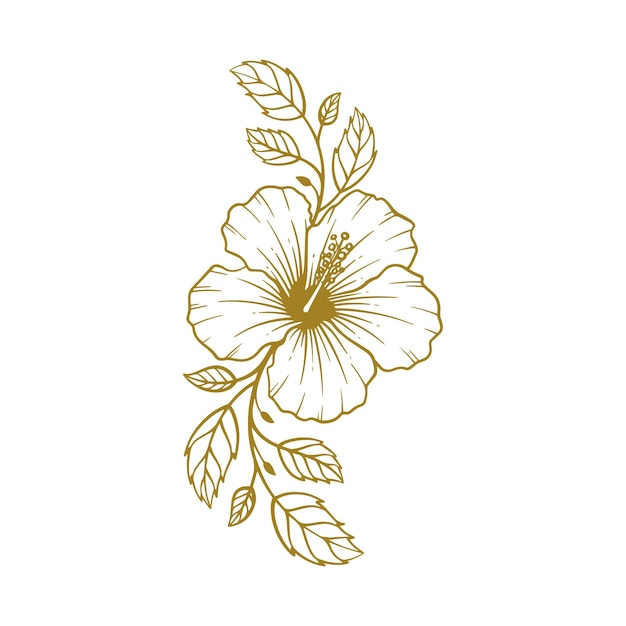 Hand drawn hibiscus flower hibiscus flower line art vector illustration