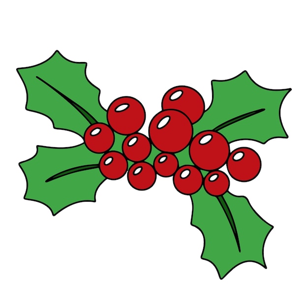 Hand drawn holly berry colored outline Doodle holly berry isolated on white background Vector
