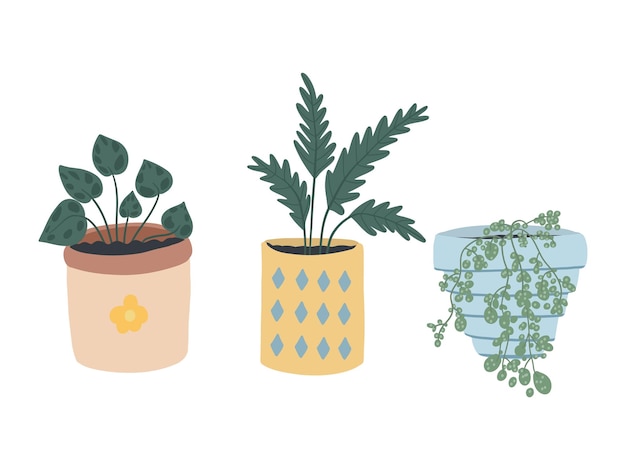 Hand drawn home plants in pots