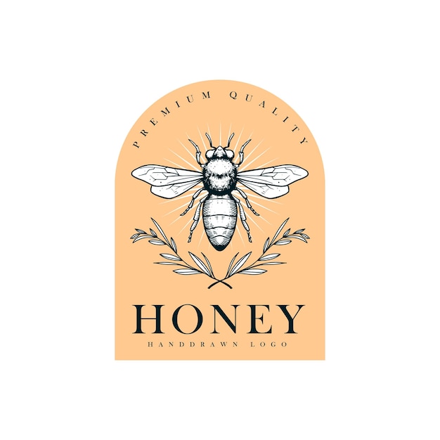 hand drawn honey logo design