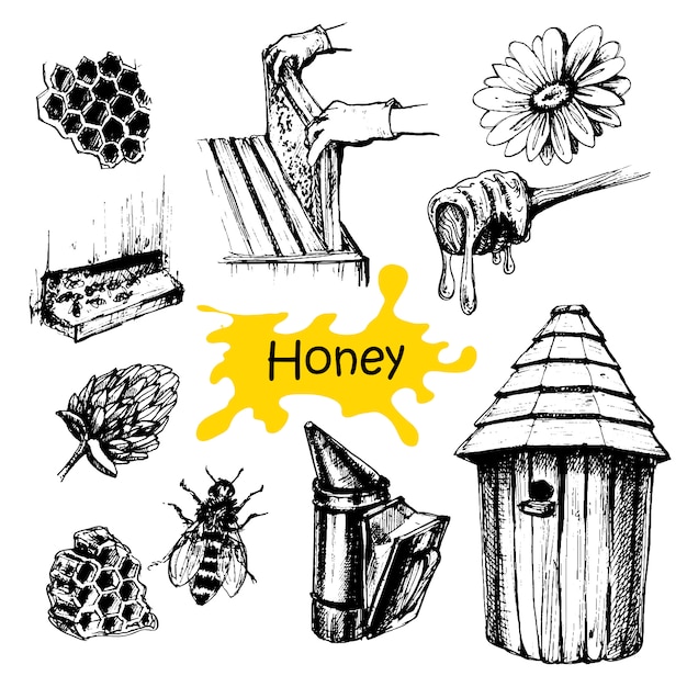 Vector hand drawn honey set