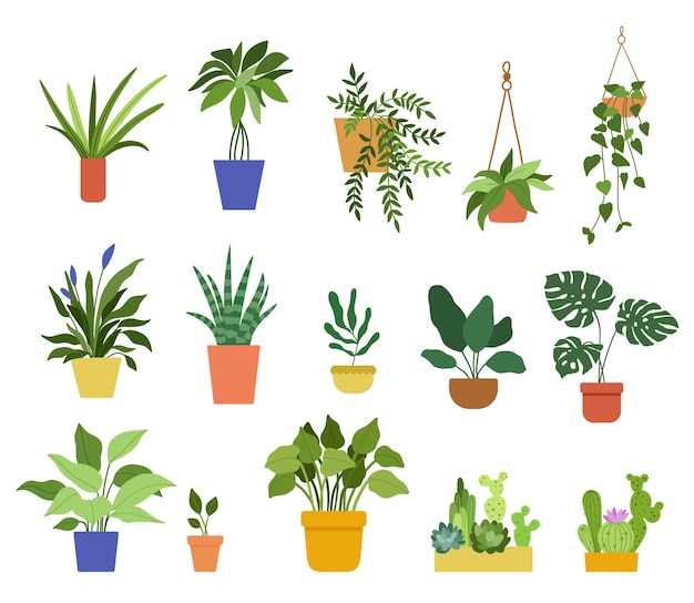 Vector hand drawn house plants in pots set of vector illustrations in flat style isolated on white