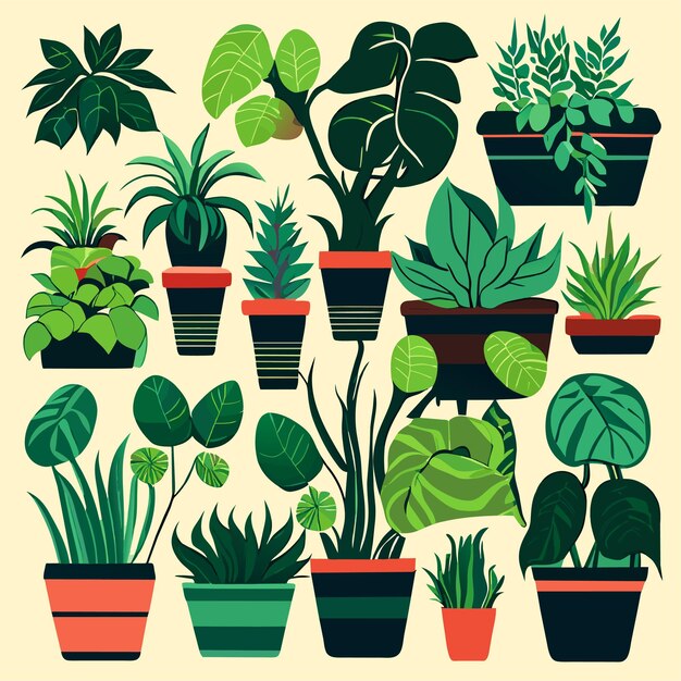 Vector hand drawn houseplant collection or collection of beautiful houseplants in pots