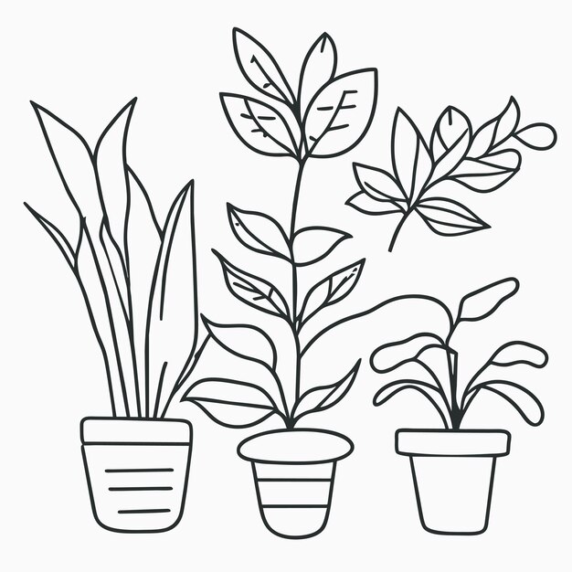 Hand drawn houseplant collection or Collection of beautiful houseplants in pots