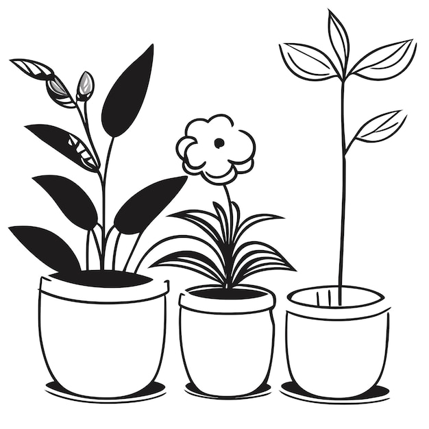 Hand drawn houseplant collection or Collection of beautiful houseplants in pots