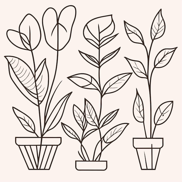 Hand drawn houseplant collection or Collection of beautiful houseplants in pots