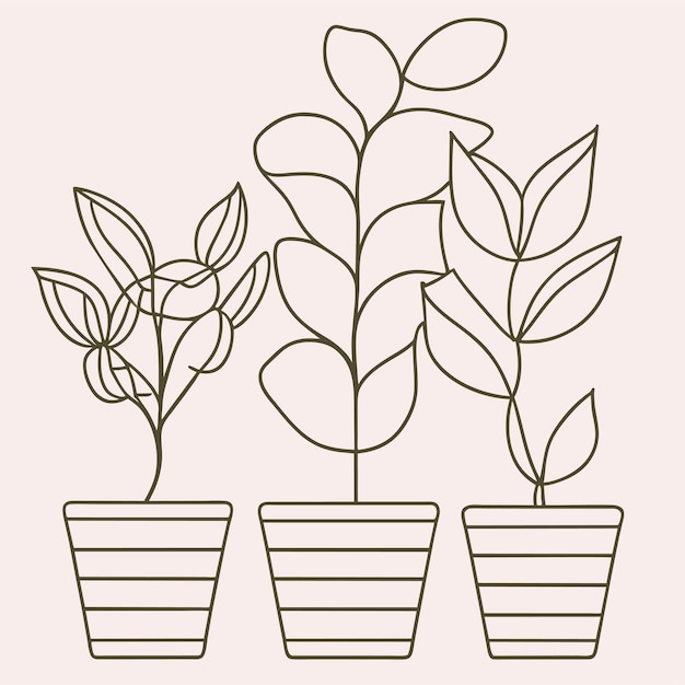 Vector hand drawn houseplant collection or collection of beautiful houseplants in pots