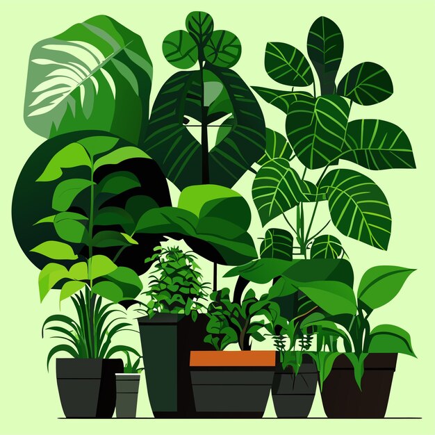 Vettore collezione di piante d'appartamento disegnate a mano o collezione di bellissime piante d'appartamento in vaso