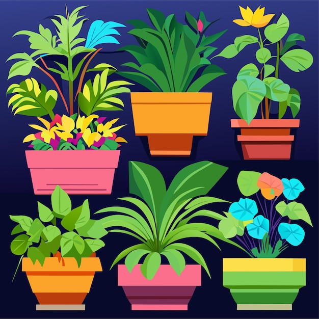 Hand drawn houseplant collection or Collection of beautiful houseplants in pots