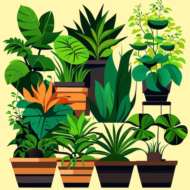 Hand drawn houseplant collection or Collection of beautiful houseplants in pots