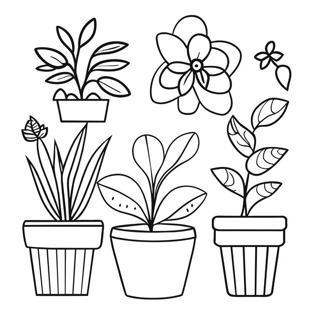 Vector hand drawn houseplant collection or collection of beautiful houseplants in pots