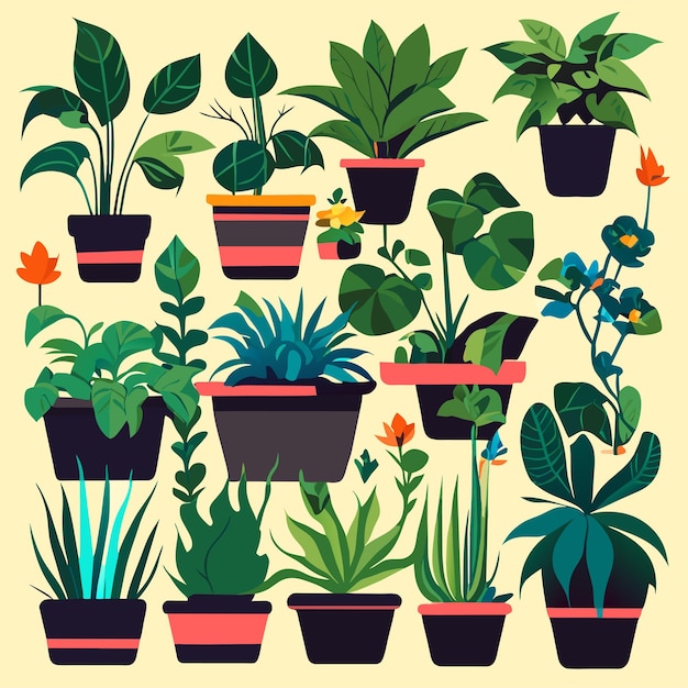 Hand drawn houseplant collection or Collection of beautiful houseplants in pots