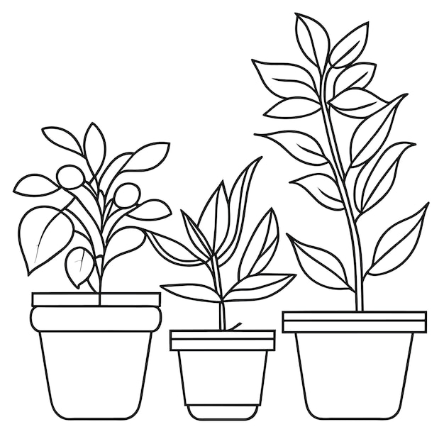 Hand drawn houseplant collection or Collection of beautiful houseplants in pots