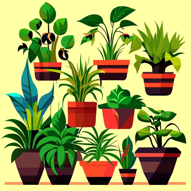 Vector hand drawn houseplant collection or collection of beautiful houseplants in pots