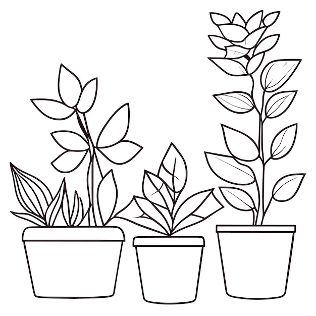 Hand drawn houseplant collection or collection of beautiful houseplants in pots