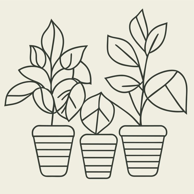 Hand drawn houseplant collection or collection of beautiful houseplants in pots