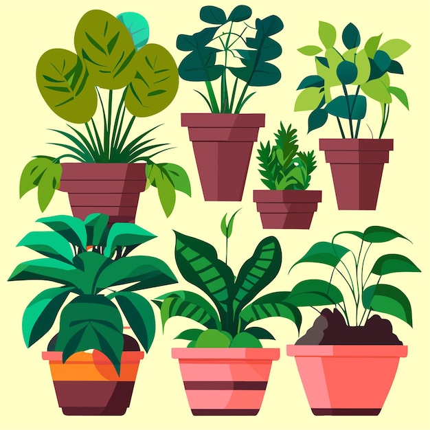 Vector hand drawn houseplant collection or collection of beautiful houseplants in pots