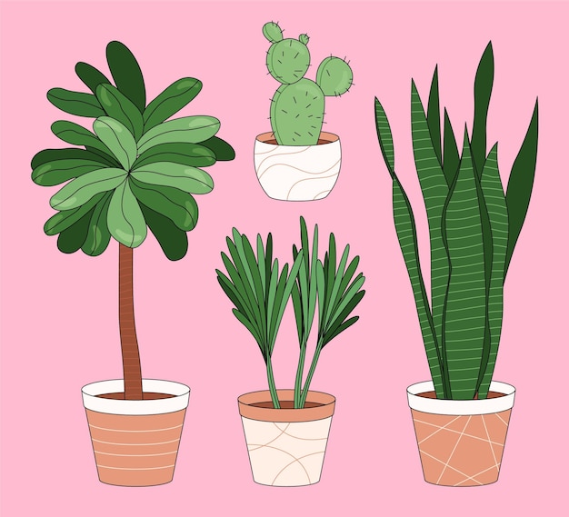 Hand drawn houseplant collection illustrated