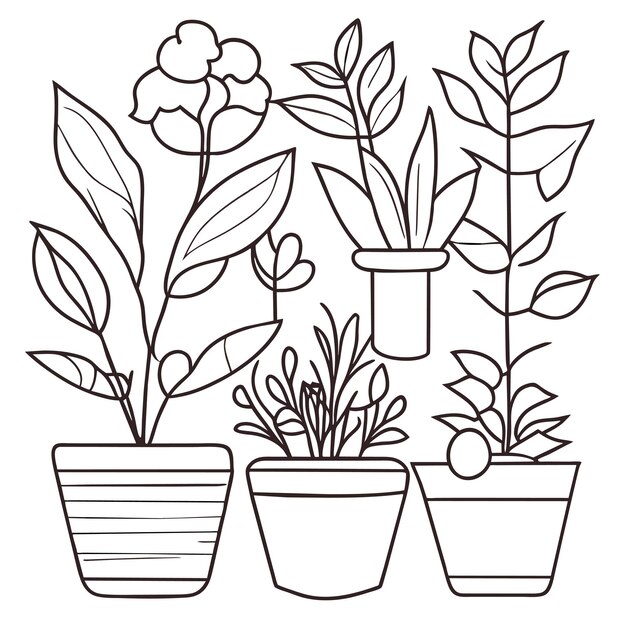 ベクトル 手描きの観葉植物コレクションまたは鉢に入った美しい観葉植物のコレクション