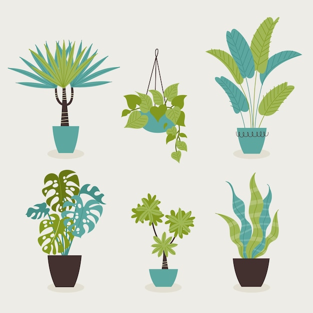 Vector hand drawn houseplant collection