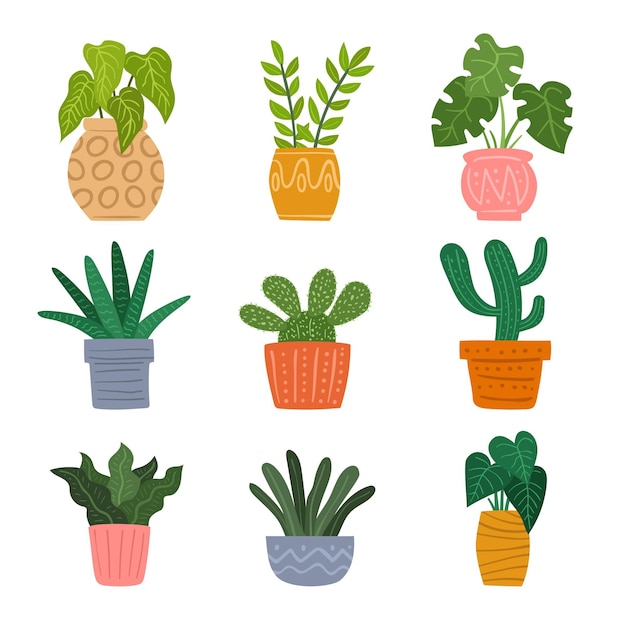 Vector hand drawn houseplant collection