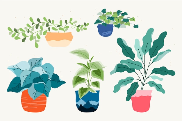 Hand drawn houseplant collection