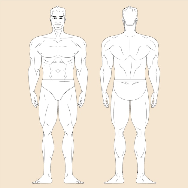 Vettore illustrazione disegnata a mano del profilo del corpo umano