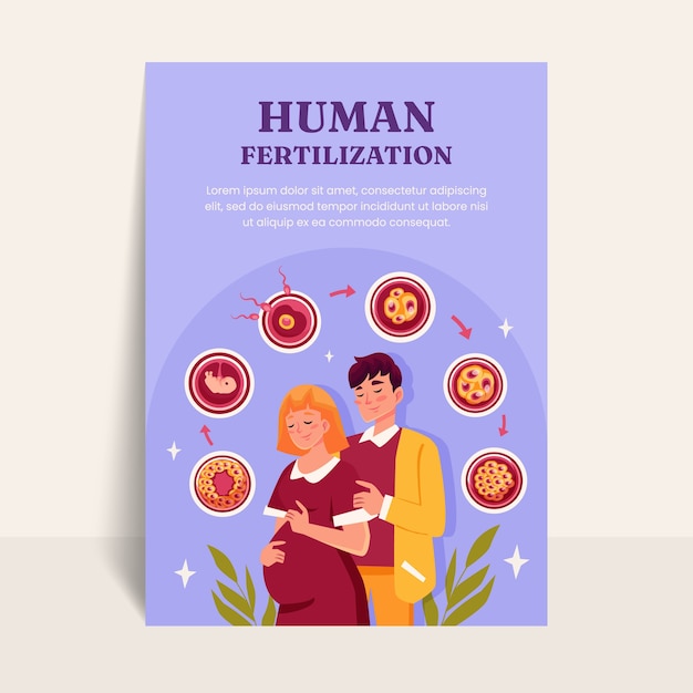 Vector hand drawn human fertilization poster