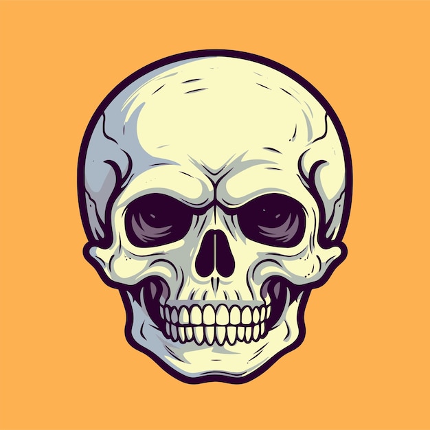 Vector hand drawn human skull illustration