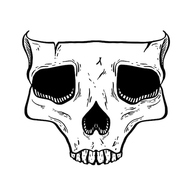 hand drawn human skull tattoo vector illustration