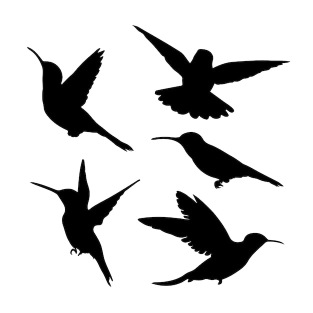 Vector hand drawn hummingbird silhouette