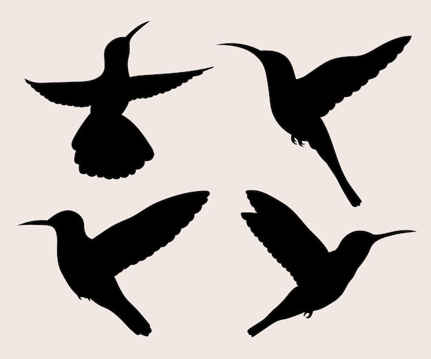 Hand drawn hummingbird silhouette