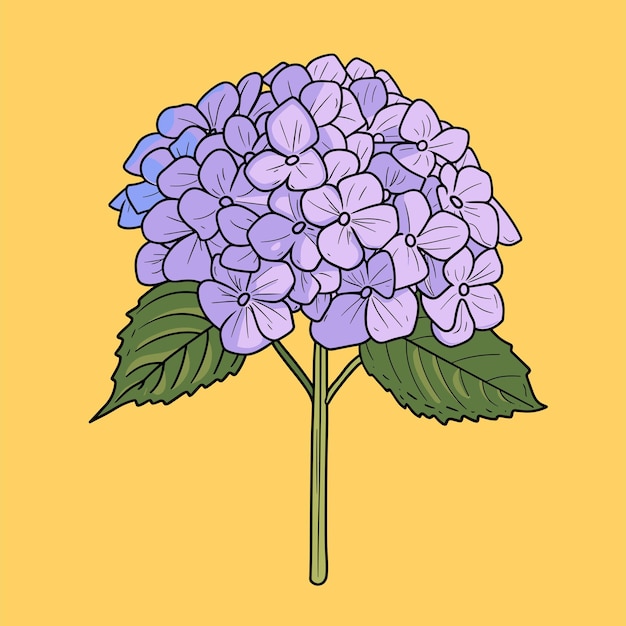 Hand drawn hydrangea Vector illustration in doodle style