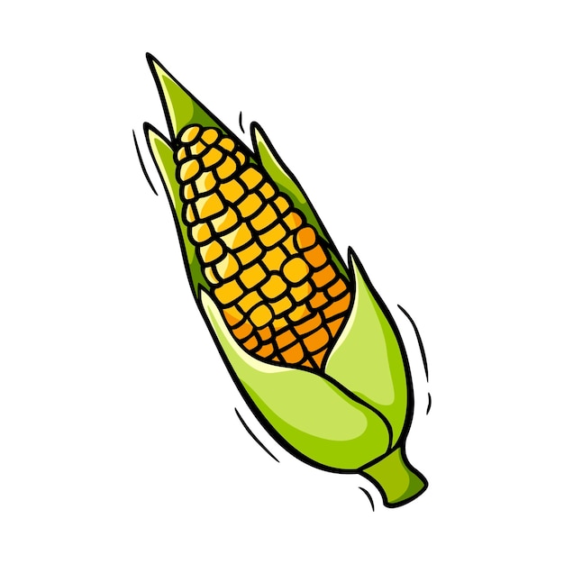 Hand drawn icon of corn in doodle style isolated on white background