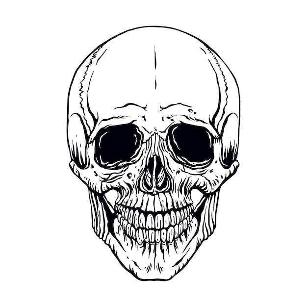 Hand drawn illustration of anatomy human skull with a lower jaw